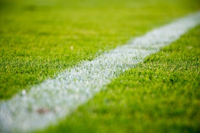 ترتيب الدوري الإسباني لكرة السلة 2024تحليل شامل للموسم الحالي