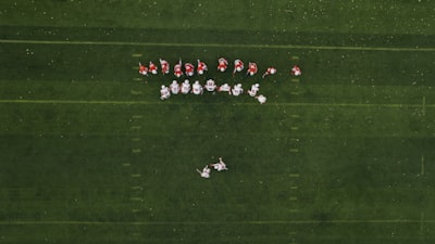 من هو بطل دوري أبطال أفريقيا 2022؟